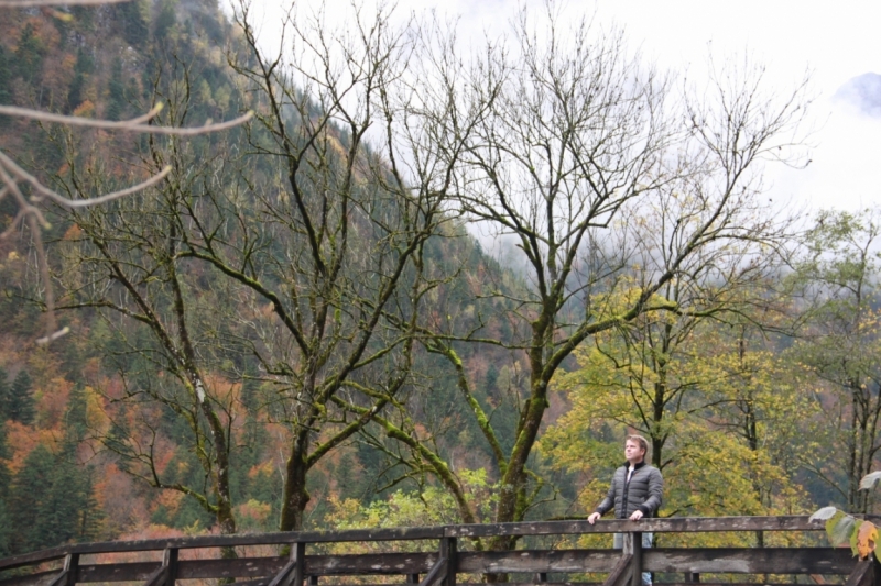 11 альпийских виршей