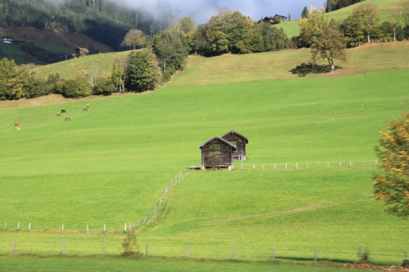 11 альпийских виршей