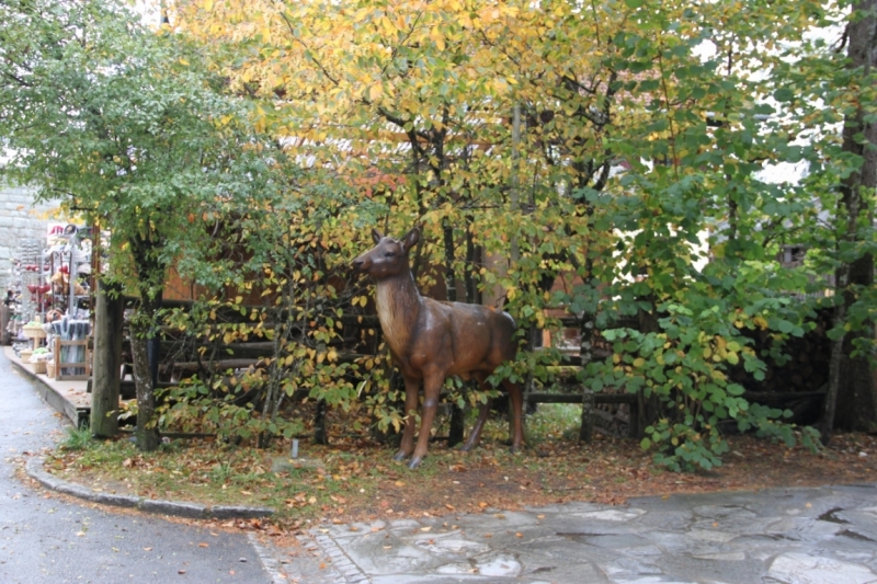 11 альпийских виршей