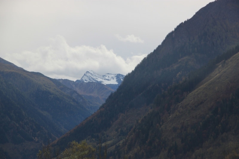 11 альпийских виршей