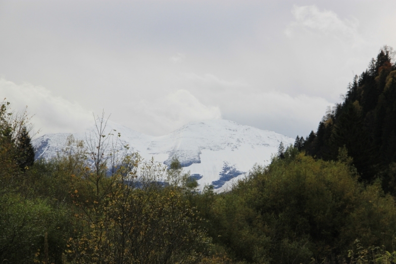 11 альпийских виршей