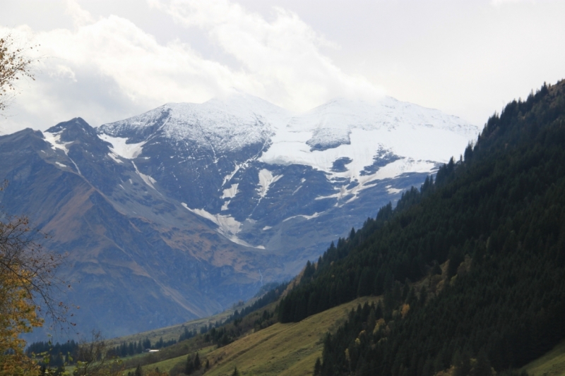 11 альпийских виршей