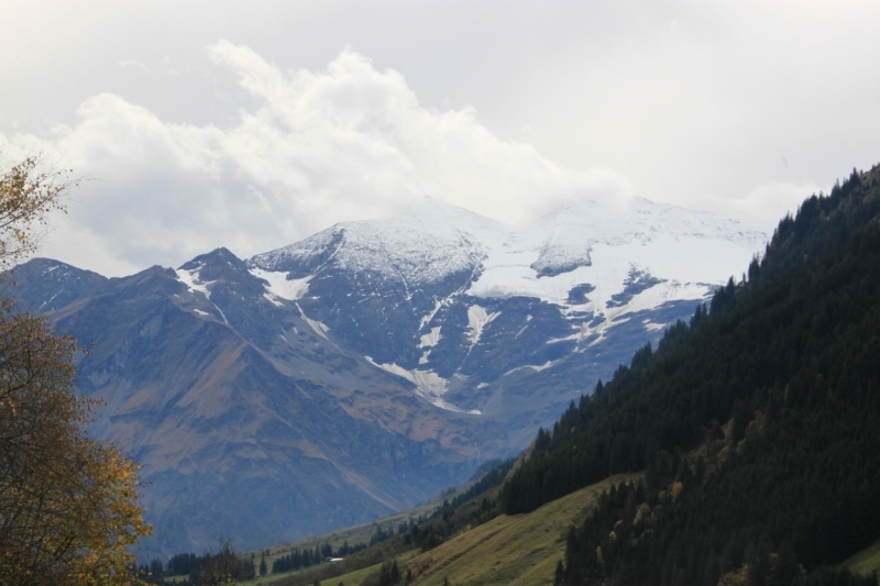 11 альпийских виршей