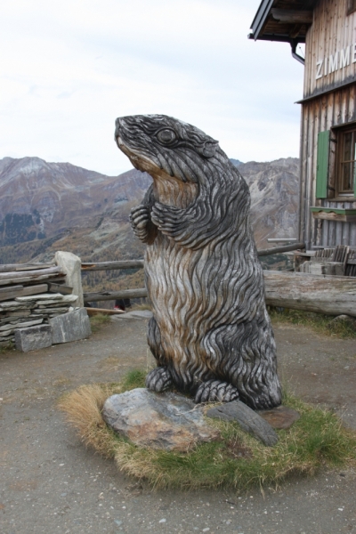 11 альпийских виршей