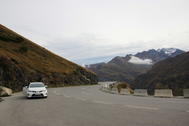 11 альпийских виршей