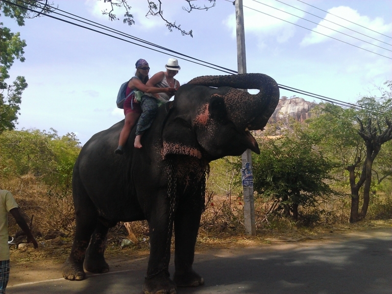 «Цейлонский чай» или приключения на Шри-Ланке (отчет о путешествии, сентябрь 2014)