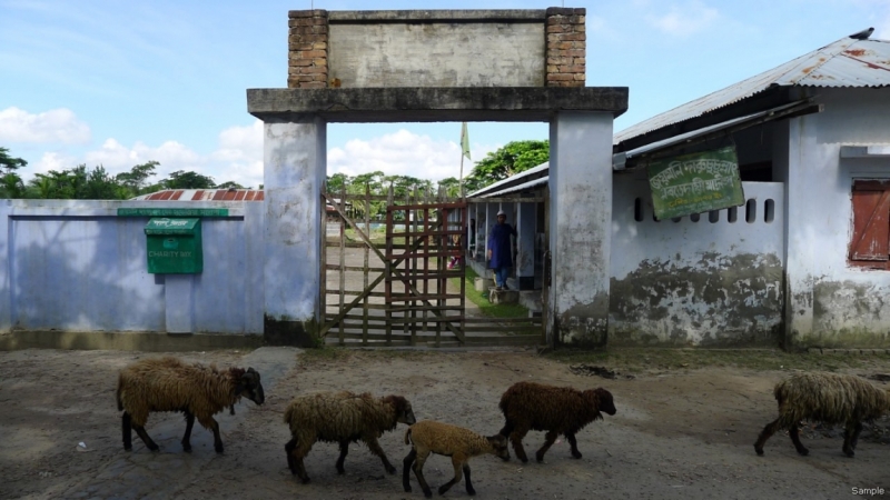 Клеенка из Бангладеш или кристально чистый Бангладеш (Сентябрь 2014 года)