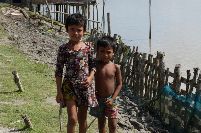 Клеенка из Бангладеш или кристально чистый Бангладеш (Сентябрь 2014 года)