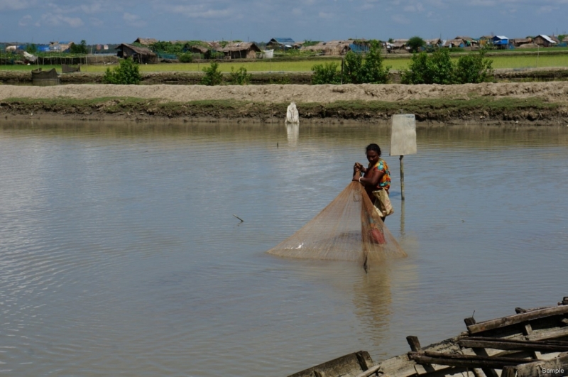 Клеенка из Бангладеш или кристально чистый Бангладеш (Сентябрь 2014 года)