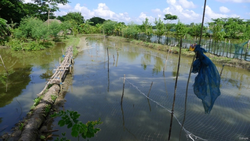 Клеенка из Бангладеш или кристально чистый Бангладеш (Сентябрь 2014 года)