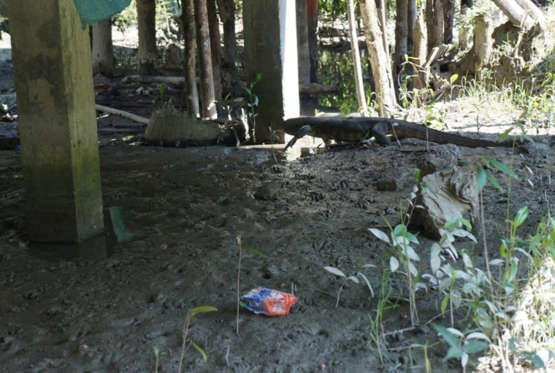 Клеенка из Бангладеш или кристально чистый Бангладеш (Сентябрь 2014 года)