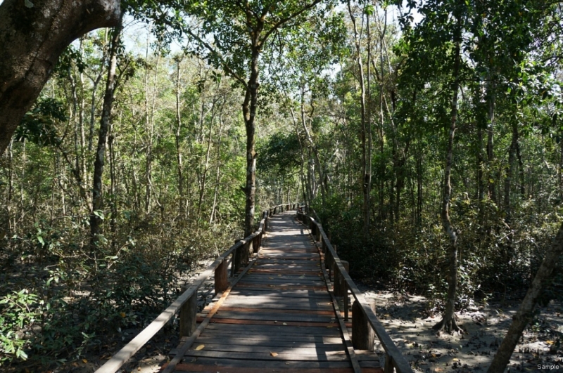 Клеенка из Бангладеш или кристально чистый Бангладеш (Сентябрь 2014 года)