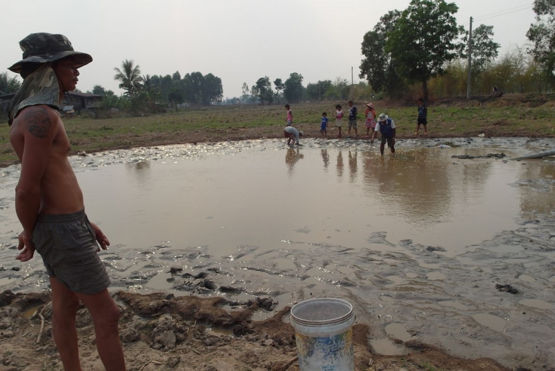 Немного о тайской деревне фото+видео  (Провинция Бурирам, район Пракхон Чай)