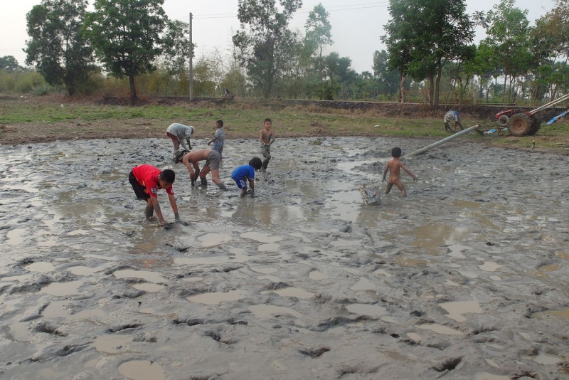 Немного о тайской деревне фото+видео  (Провинция Бурирам, район Пракхон Чай)