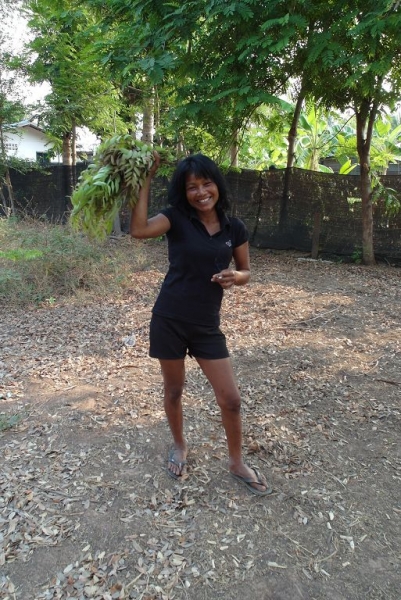 Немного о тайской деревне фото+видео  (Провинция Бурирам, район Пракхон Чай)