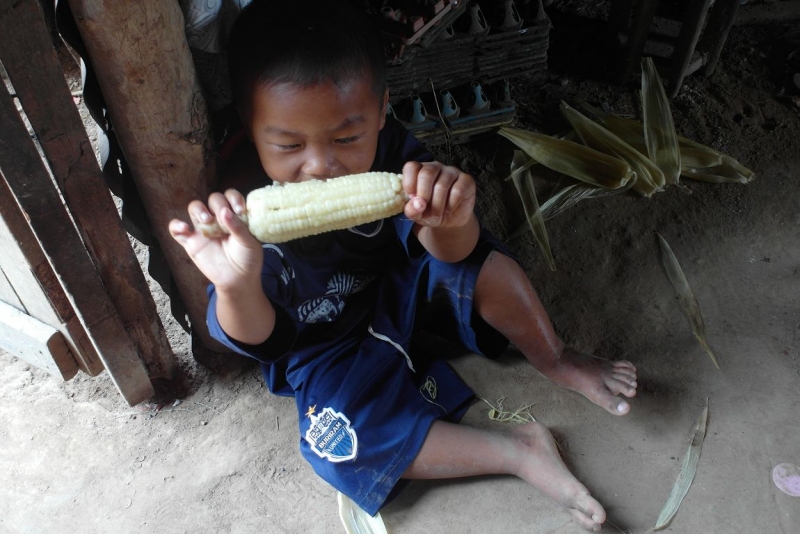 Немного о тайской деревне фото+видео  (Провинция Бурирам, район Пракхон Чай)