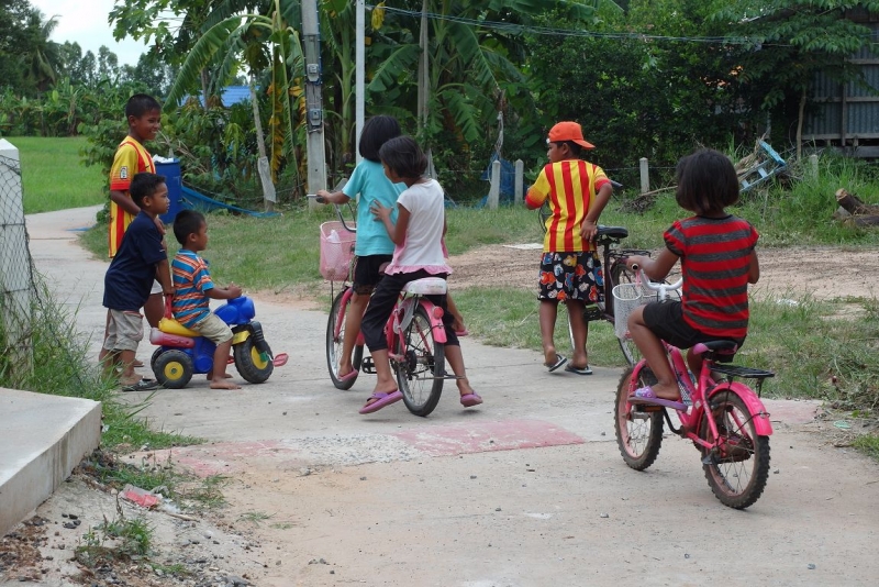 Немного о тайской деревне фото+видео  (Провинция Бурирам, район Пракхон Чай)