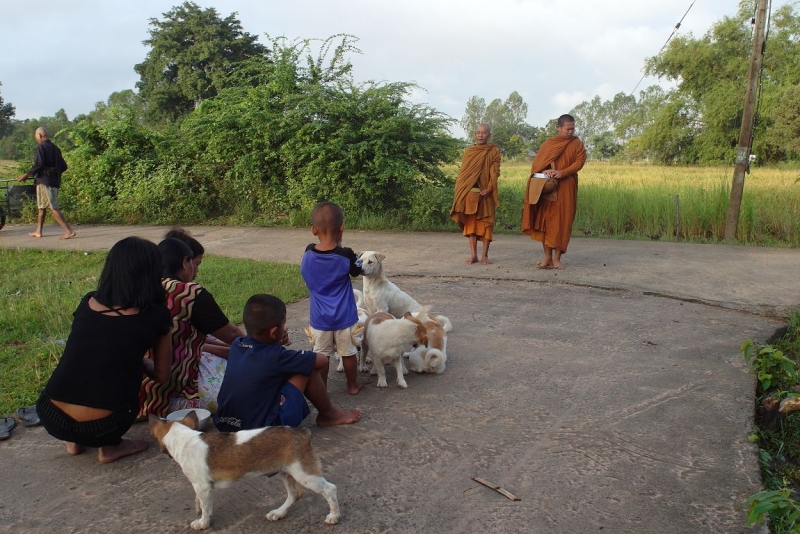 Немного о тайской деревне фото+видео  (Провинция Бурирам, район Пракхон Чай)