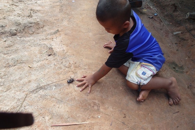 Немного о тайской деревне фото+видео  (Провинция Бурирам, район Пракхон Чай)