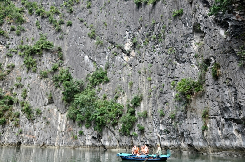 Вьетнам. Ханой, Нинь Бинь, Халонг на ноябрьские праздники 2014(много фото).