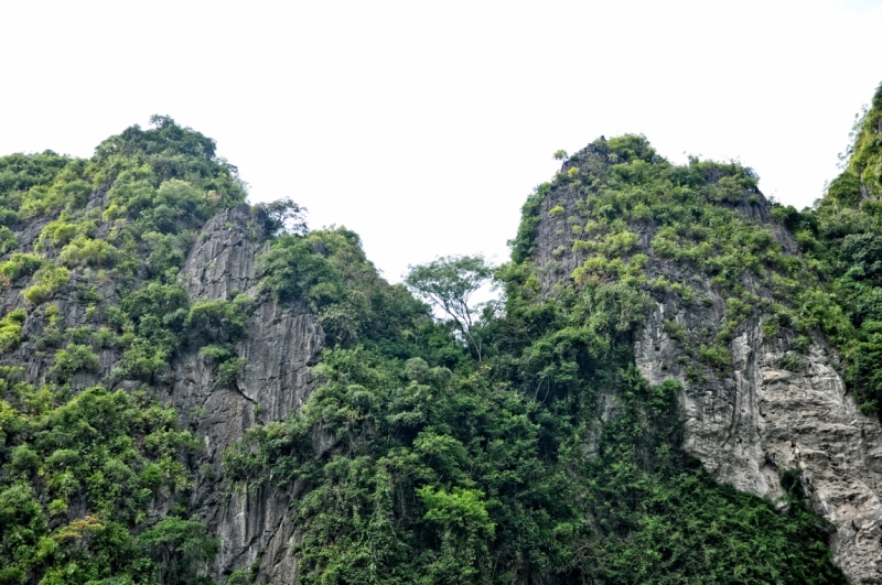 Вьетнам. Ханой, Нинь Бинь, Халонг на ноябрьские праздники 2014(много фото).