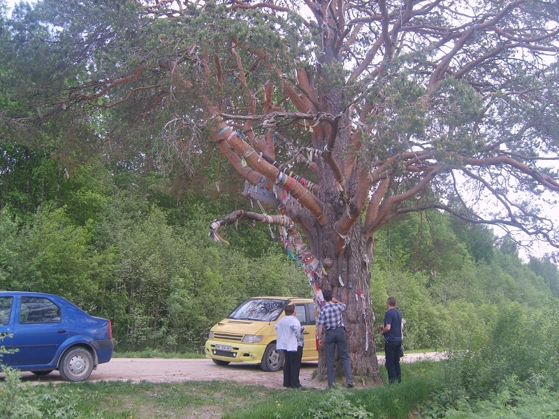 Кенозерский национальный парк, Архангельская область - отдых душой