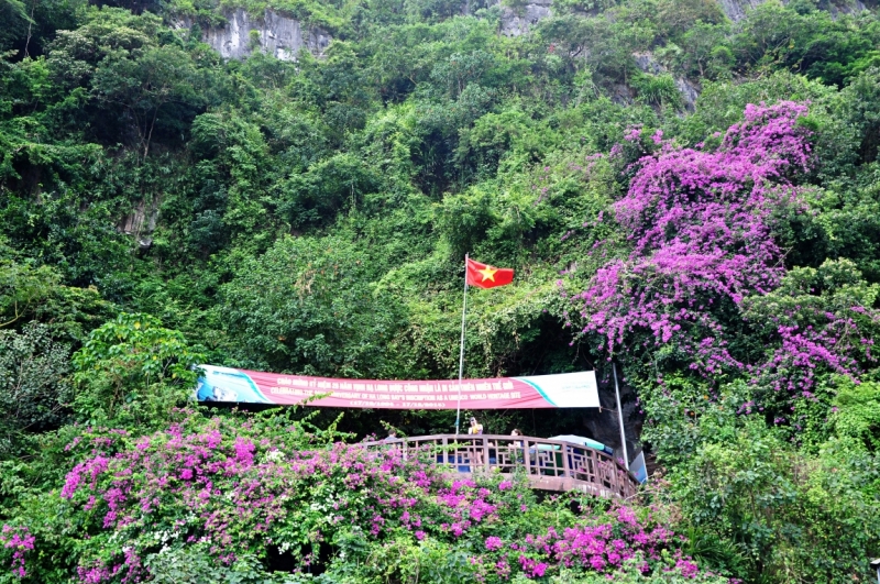 Вьетнам. Ханой, Нинь Бинь, Халонг на ноябрьские праздники 2014(много фото).