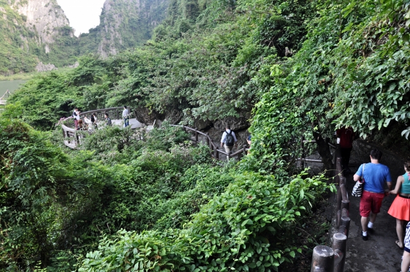 Вьетнам. Ханой, Нинь Бинь, Халонг на ноябрьские праздники 2014(много фото).