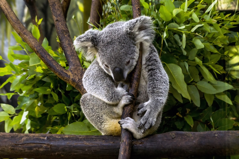 Пекин-Гуанчжоу-Гонконг октябрь 2014