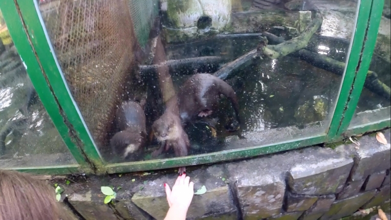 Наши открытия во Вьетнаме (будет много фото)