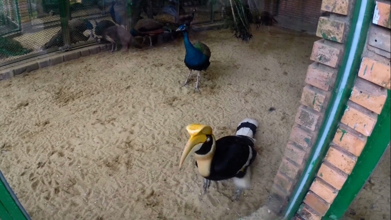 Наши открытия во Вьетнаме (будет много фото)