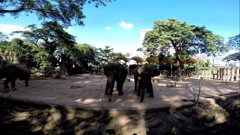 Наши открытия во Вьетнаме (будет много фото)