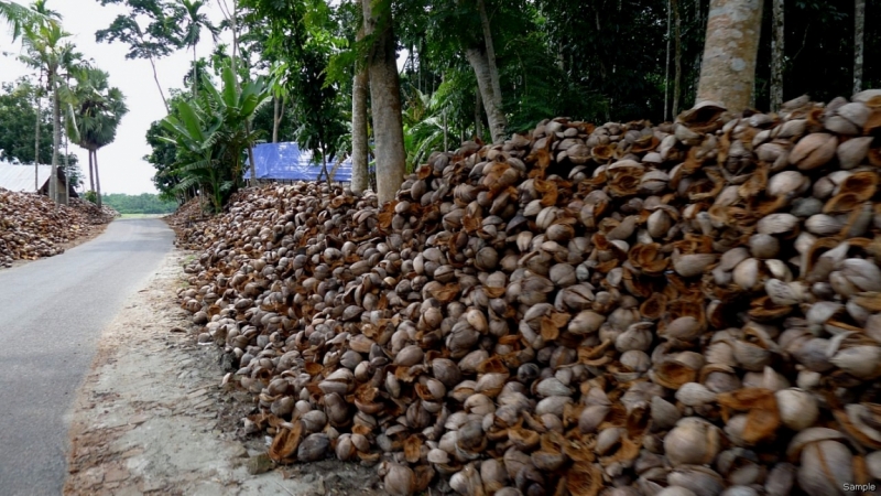 Клеенка из Бангладеш или кристально чистый Бангладеш (Сентябрь 2014 года)