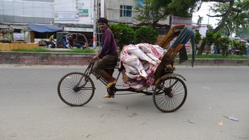 Клеенка из Бангладеш или кристально чистый Бангладеш (Сентябрь 2014 года)