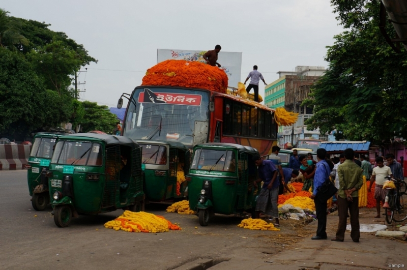 Клеенка из Бангладеш или кристально чистый Бангладеш (Сентябрь 2014 года)