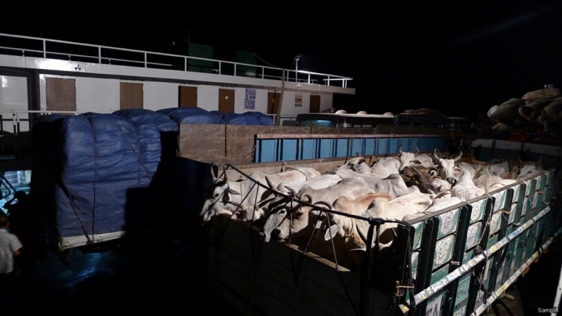 Клеенка из Бангладеш или кристально чистый Бангладеш (Сентябрь 2014 года)