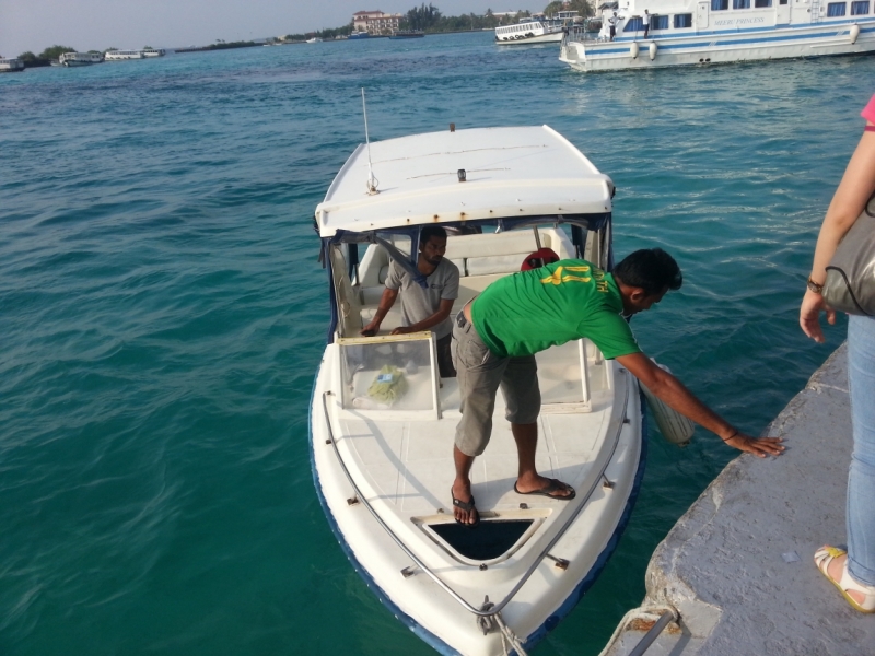 Бюджетно на Мальдивах. Обитаемый остров тоже может быть айс. Thoddoo, ноябрь 2014.
