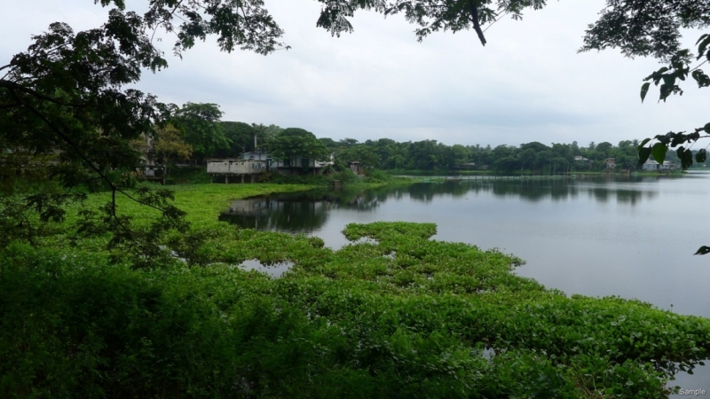 Клеенка из Бангладеш или кристально чистый Бангладеш (Сентябрь 2014 года)