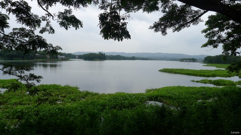 Клеенка из Бангладеш или кристально чистый Бангладеш (Сентябрь 2014 года)