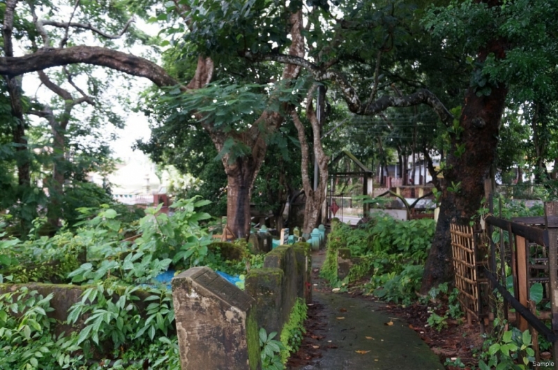 Клеенка из Бангладеш или кристально чистый Бангладеш (Сентябрь 2014 года)