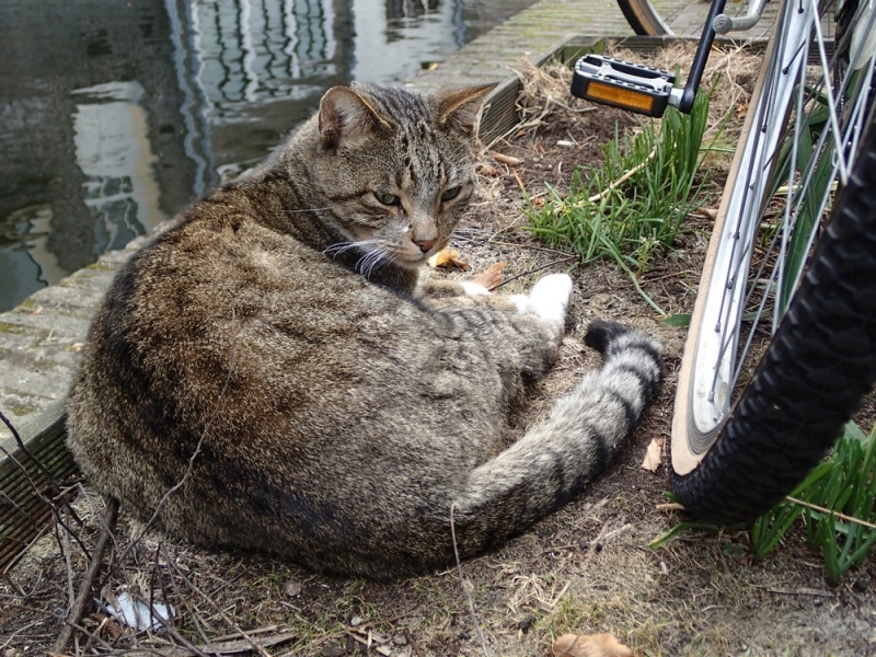 Европейская прелюдия осени в обнимку с фотоаппаратом!