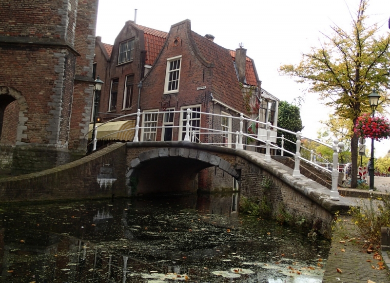 Европейская прелюдия осени в обнимку с фотоаппаратом!