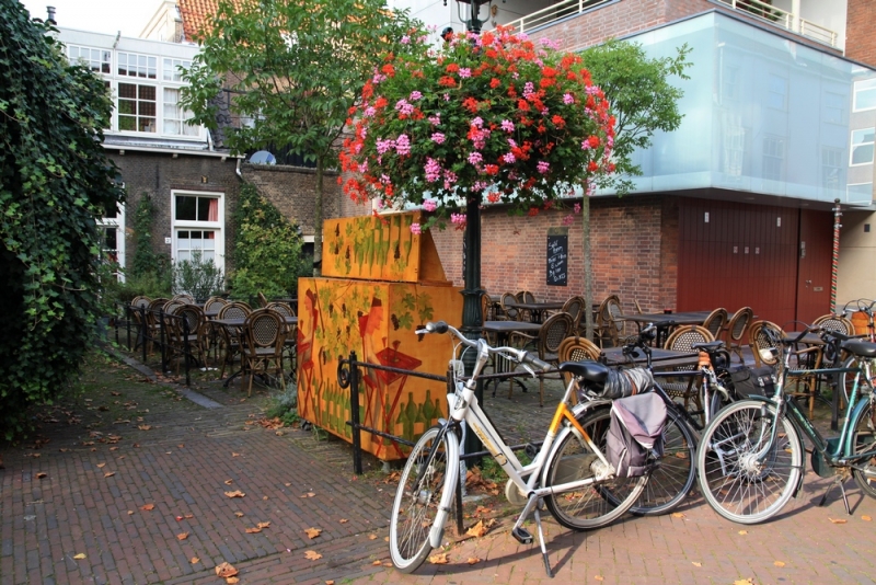 Европейская прелюдия осени в обнимку с фотоаппаратом!