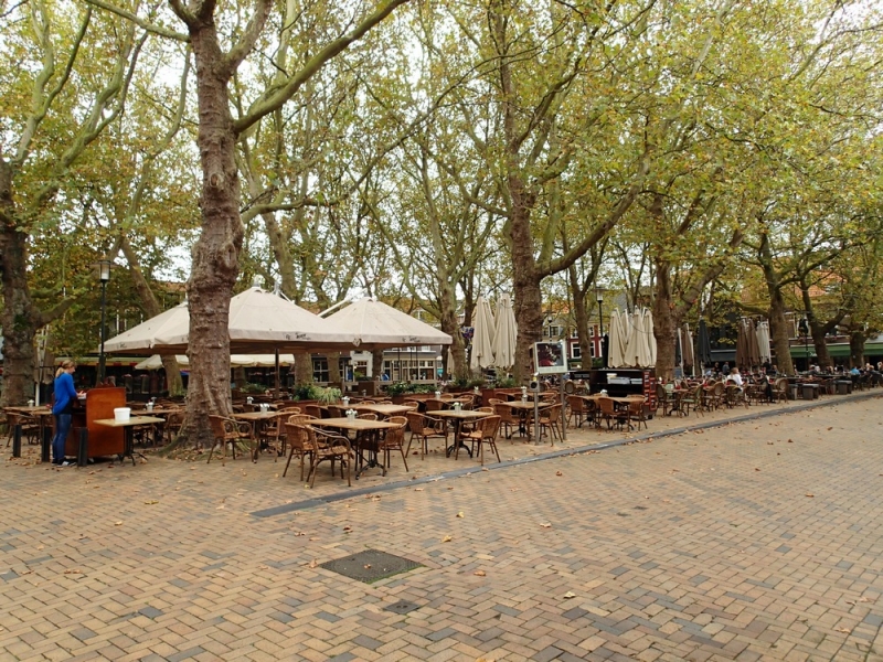 Европейская прелюдия осени в обнимку с фотоаппаратом!