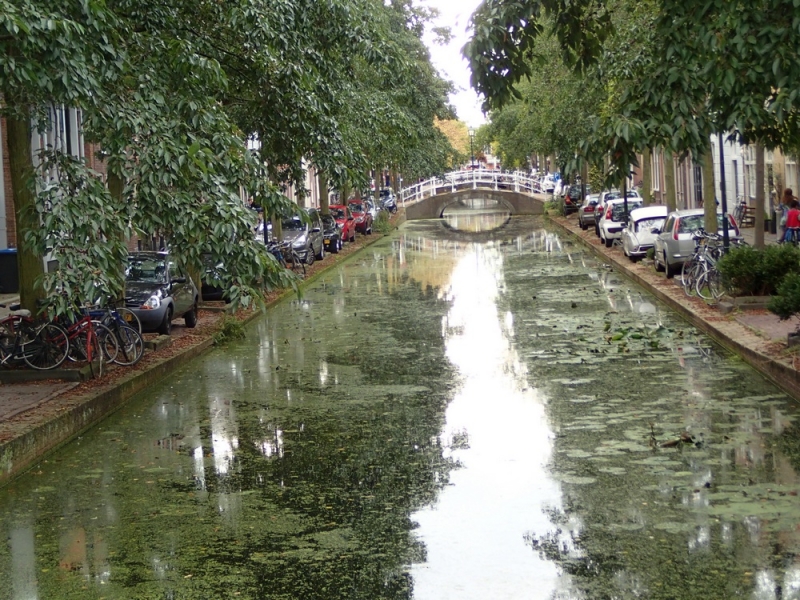 Европейская прелюдия осени в обнимку с фотоаппаратом!