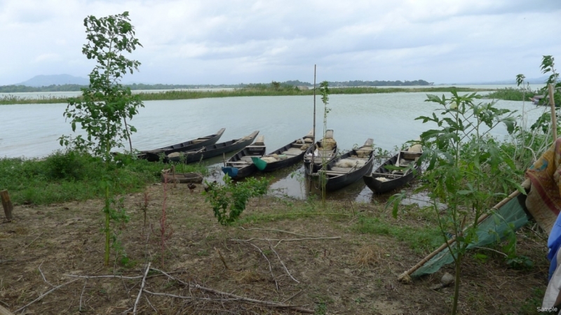 Клеенка из Бангладеш или кристально чистый Бангладеш (Сентябрь 2014 года)