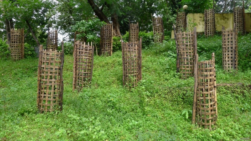 Клеенка из Бангладеш или кристально чистый Бангладеш (Сентябрь 2014 года)