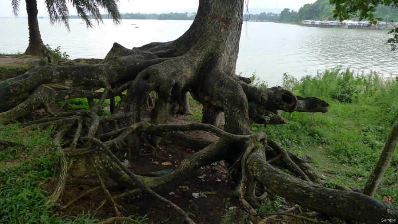Клеенка из Бангладеш или кристально чистый Бангладеш (Сентябрь 2014 года)