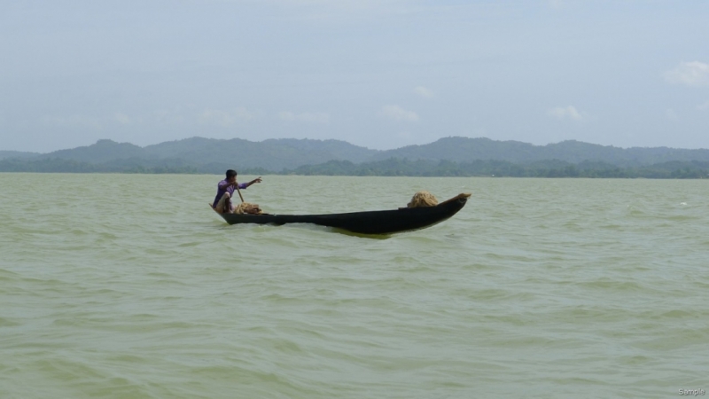 Клеенка из Бангладеш или кристально чистый Бангладеш (Сентябрь 2014 года)