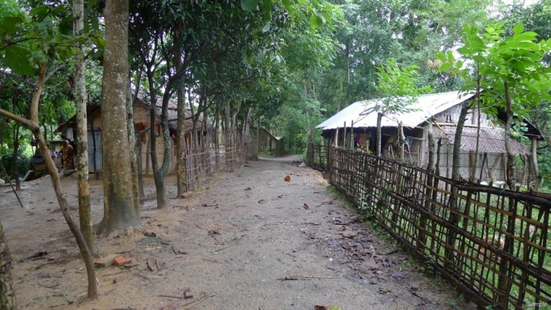 Клеенка из Бангладеш или кристально чистый Бангладеш (Сентябрь 2014 года)